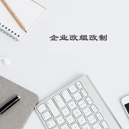 企业改组改制