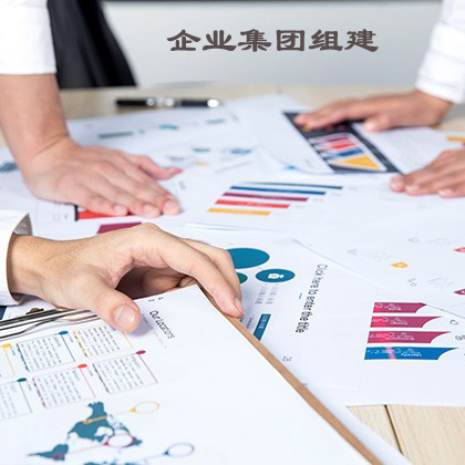 企业集团组建